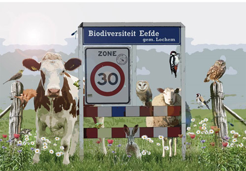 Werkgroep Biodiversiteit Eefde
