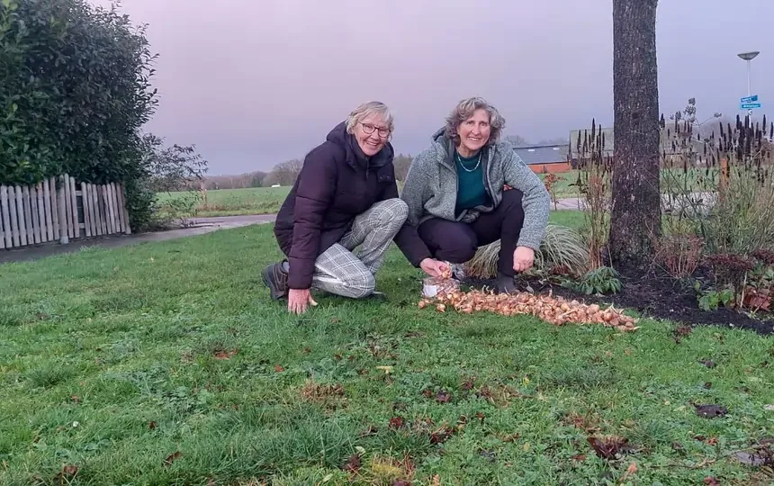 Bloembollen bij de Papaverhof