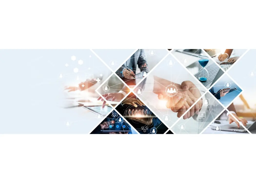 Bereik - Strategisch Adviseur en Kwartiermaker