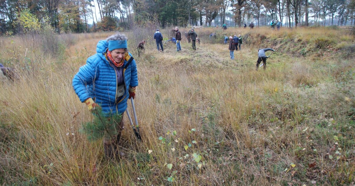 Gorsselse natuurwerkdag Gorsselse natuurwerkdag