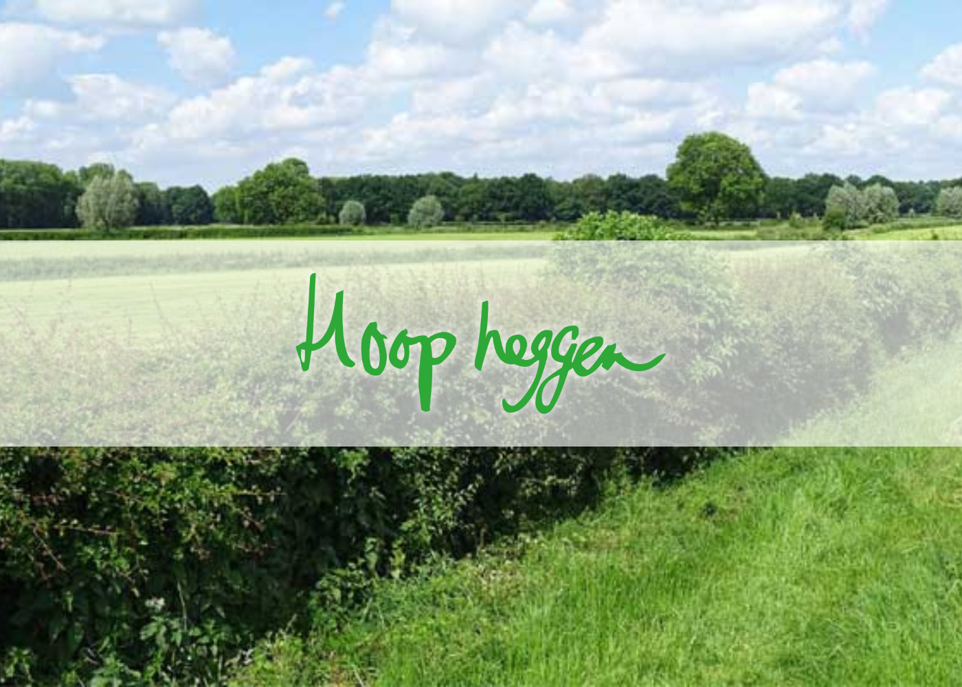 Hoop heggen Hoop heggen