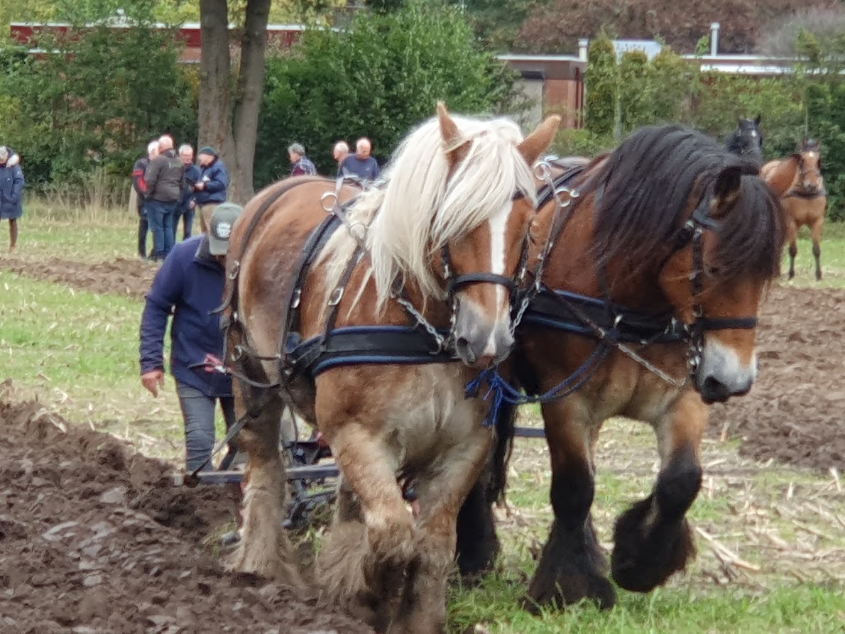 Jaarlijkse Ploegwedstrijd Eefde