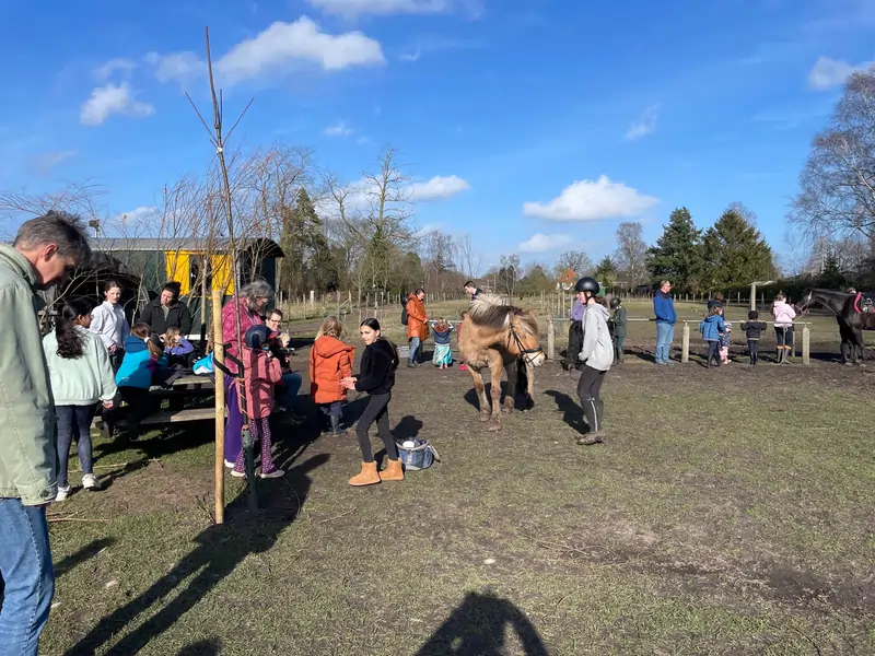 Ponyclub Eefde