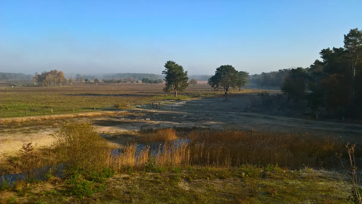 Marke Gorsselse Heide nieuwe voorzitter