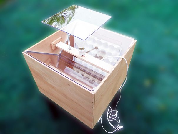 Nachtvlinderkast Nachtvlinderkast