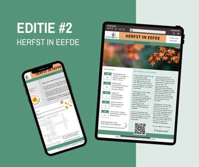 Nieuwsbrief Herfst in Eefde Editie 2 2025